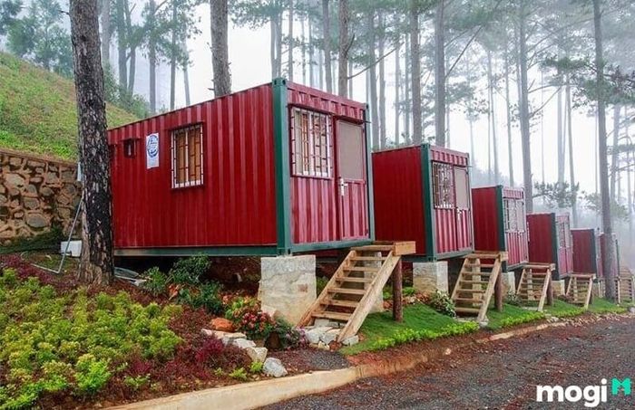 Nhà container được xây dựng để phục vụ nhu cầu homestay, mang lại sự mới mẻ và tiện lợi cho du khách.