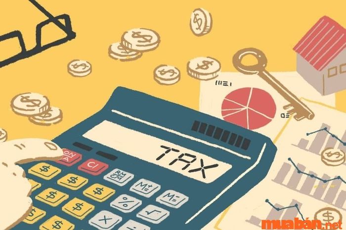 Chi tiết bảng mô tả công việc của kế toán thuế