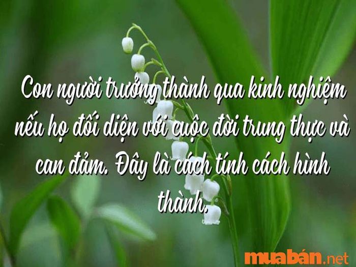 Trung thực