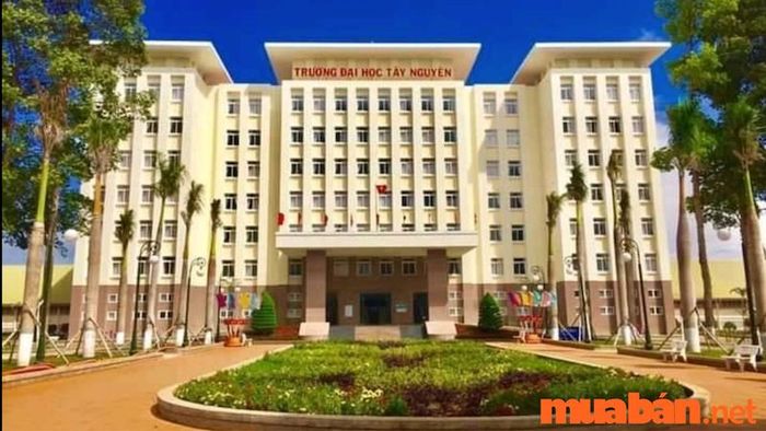 Học kinh tế giúp bạn nắm vững nhiều kiến thức về kinh doanh, tài chính, marketing, và hơn thế nữa.