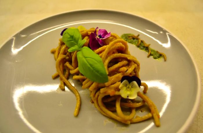 One dish at The Insect Experience features pasta topped with black soldier fly larvae and garnished with mealworms.