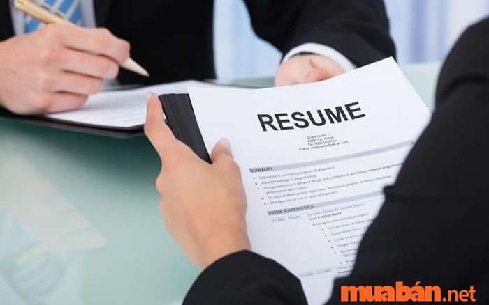 Tôi có một nền tảng vững chắc và nhiều kinh nghiệm trong lĩnh vực này...