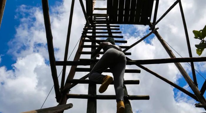 Scaling the lookout tower at Nylsvley.