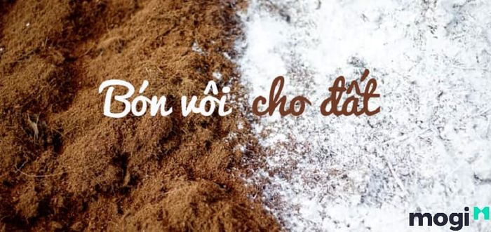 phương pháp sử dụng đất hiệu quả là gì?
