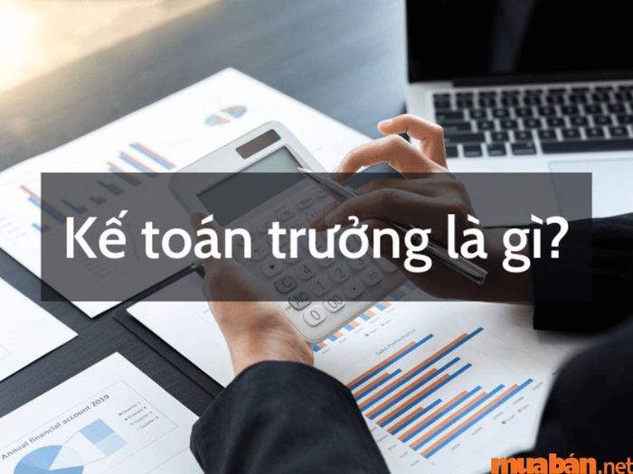Kế toán trưởng đóng vai trò then chốt trong hoạt động kinh doanh của doanh nghiệp