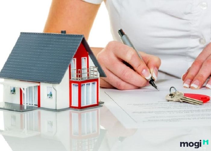 Kiểm tra kỹ các điều khoản trong hợp đồng trước khi quyết định thuê.