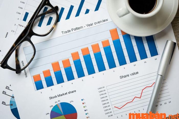 cfo là gì