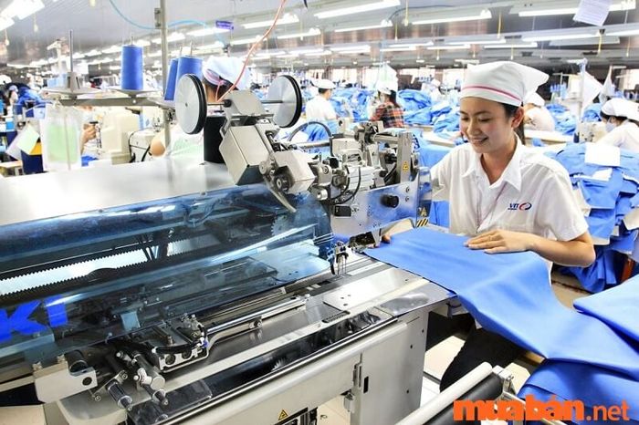 Công nhân ngày nay làm việc trong rất nhiều ngành nghề và lĩnh vực khác nhau.