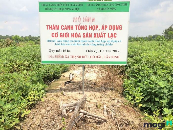 phương pháp sử dụng đất hiệu quả