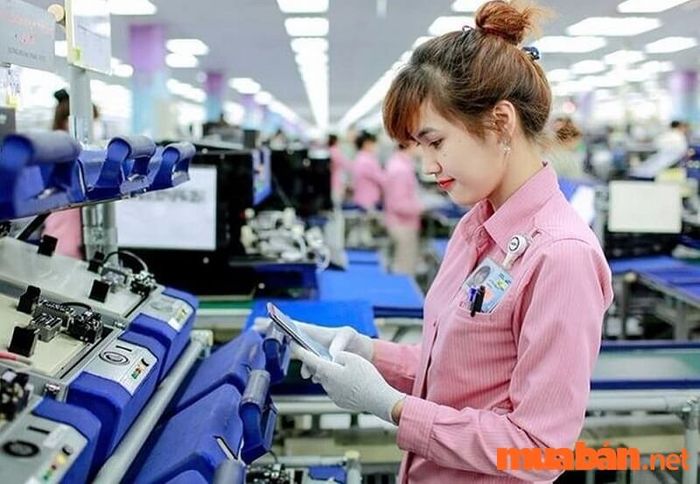 Không yêu cầu trình độ học vấn cao: