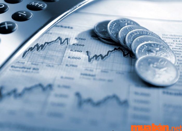 cfo là gì