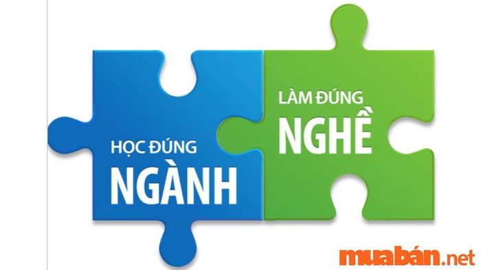 Học kinh tế mở ra nhiều cơ hội nghề nghiệp trong các lĩnh vực như quản trị, tài chính, kinh doanh, và nhiều ngành nghề khác. 