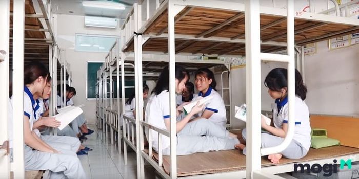 Ở ký túc, mọi người thường dễ dàng rủ nhau tham gia các hoạt động và câu lạc bộ hơn.