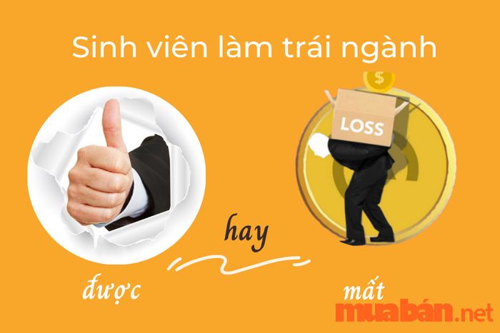 Sinh viên ngành kinh tế hoàn toàn có thể tìm kiếm cơ hội trong các công việc trái ngành với kỹ năng và kiến thức sẵn có.