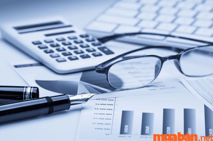 cfo là gì