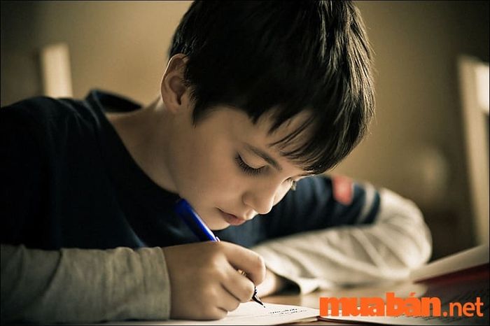 Cơ chế hoạt động của não bộ trong việc duy trì sự tập trung và hiệu quả công việc