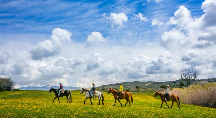 Guests can enjoy horseback riding across expansive landscapes or choose from a variety of other exciting activities.