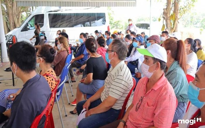 Cạnh tranh trong các cuộc đấu giá đất