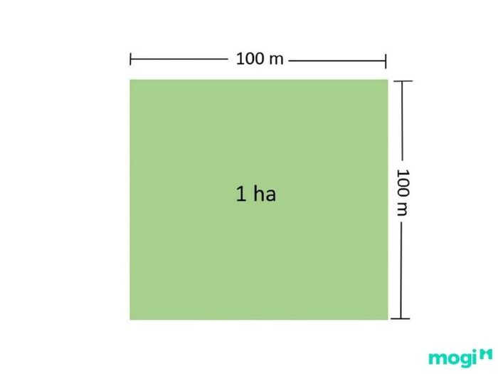 Một hecta đất tương đương với bao nhiêu mét vuông?