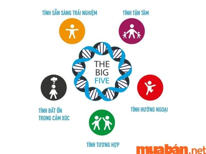 mo-hinh-big-5-danh-gia-tinh-cach
