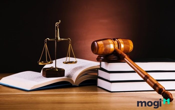 Đặc biệt cần lưu ý đến hồ sơ pháp lý của mảnh đất xây dựng nhà trọ.