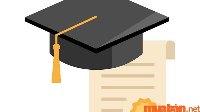 Trình độ học vấn là gì và cách thức ghi trình độ học vấn trong CV xin việc?