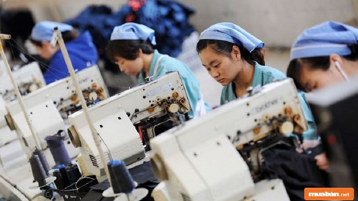 Bạn có thể xin việc tại các công ty chuyên về may mặc để tìm cơ hội nghề nghiệp.