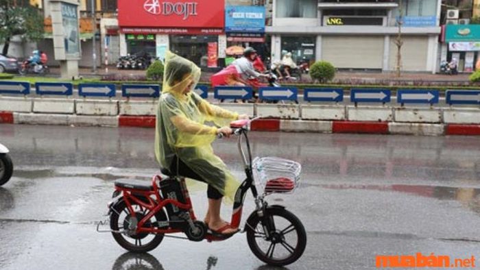 Giá xe đạp điện