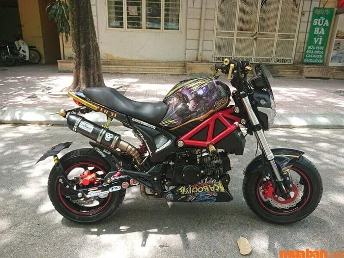 Ducati Monster mini 110