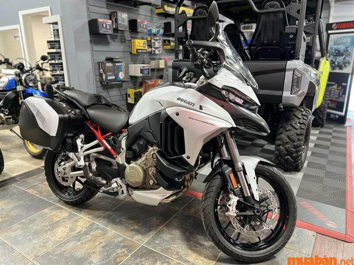 Xe Ducati Multistrada V4