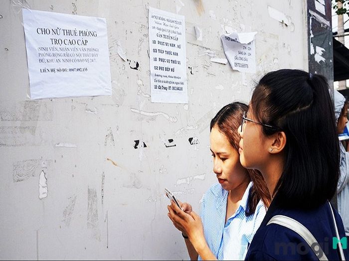 Thông tin quảng cáo tràn lan khắp nơi