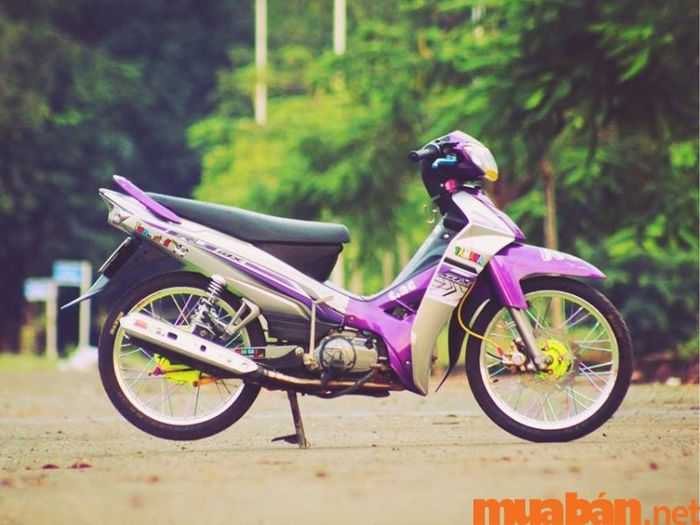 Sirius tím đầy lãng mạn và huyền bí