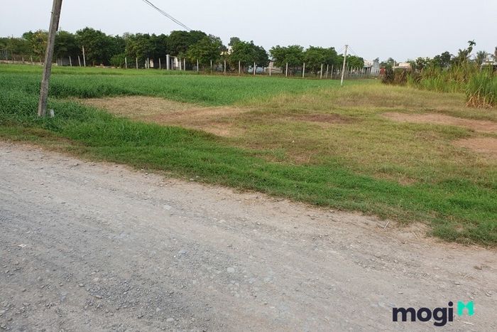 Dự báo trong tương lai gần, Đức Hòa sẽ trở thành một thành phố mới của tỉnh Long An.