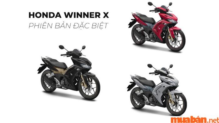 Màu sắc xe Winner X 2023 phiên bản đặc biệt với sự kết hợp đa dạng