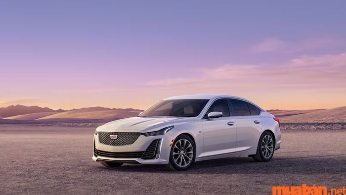 Cadillac CT5 có thiết kế trẻ trung, hiện đại, thu hút sự chú ý từ người dùng nhờ vẻ ngoài ấn tượng và không gian thoải mái bên trong.