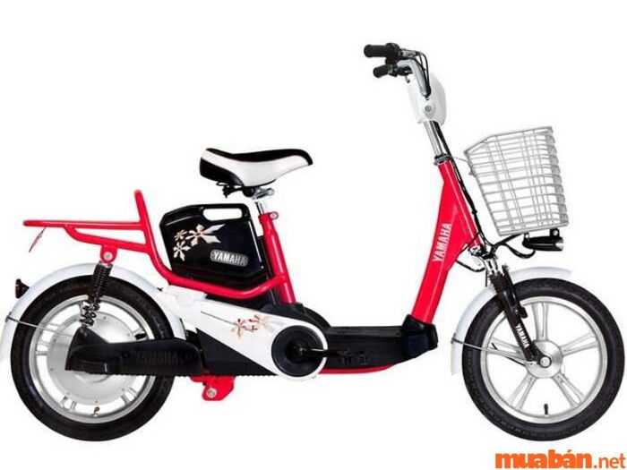 Giá xe đạp điện