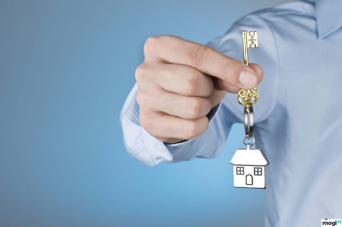 Việc tìm kiếm một dịch vụ môi giới uy tín là rất quan trọng