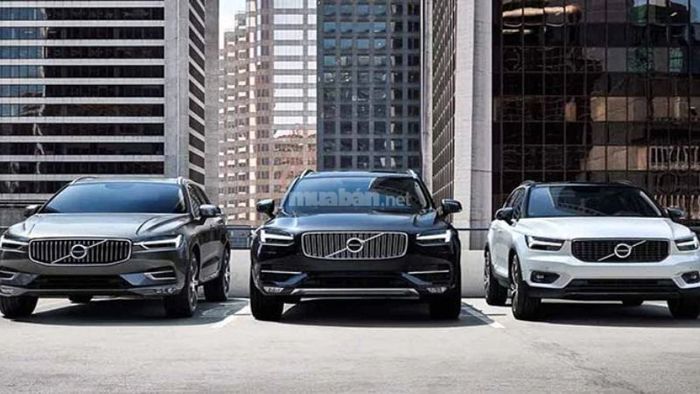 Top 3 mẫu xe Volvo được yêu thích nhất hiện nay trên thị trường.