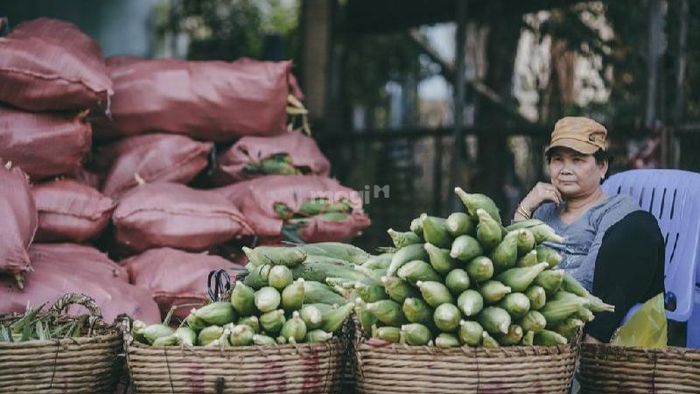 Chợ bắp Ngã Ba Bầu đã được hình thành từ năm 2002