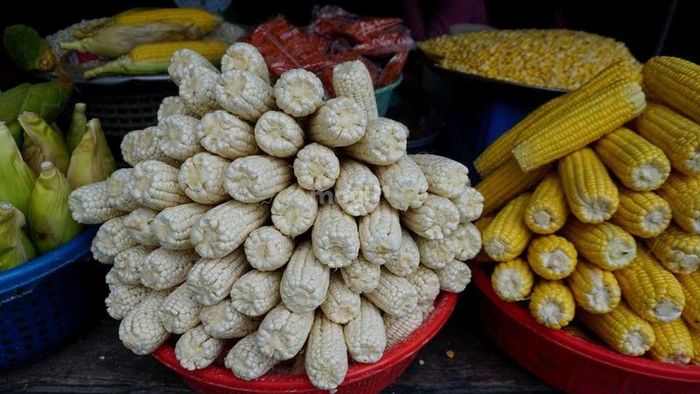 Các loại bắp đang được phân phối tại chợ Ngã Ba Bầu rất đa dạng, từ các loại bắp thông dụng đến những giống đặc sản đặc trưng.