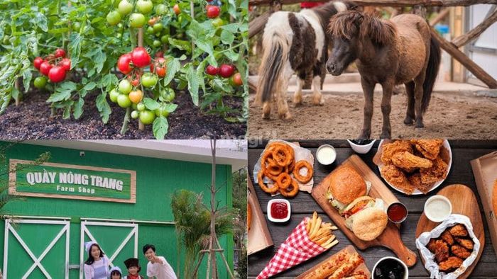 Nông trại vui vẻ với các khu vực đa dạng và thú vị