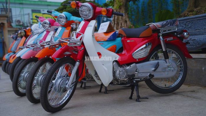 Đặc điểm phân biệt xe 50cc và 100cc