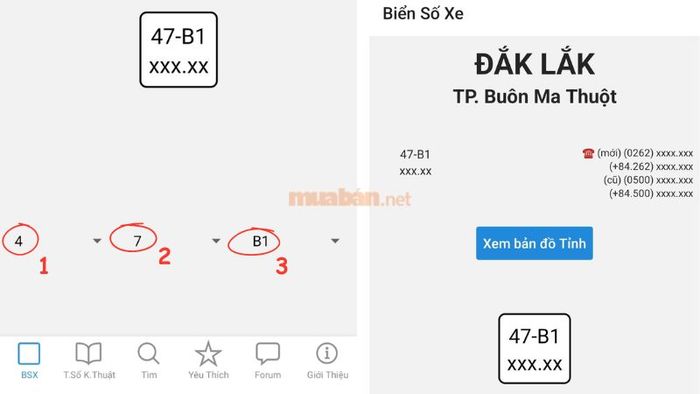 Tra cứu thông tin biển số xe và nhận kết quả chi tiết