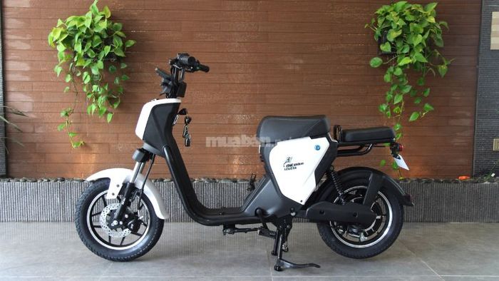 mẫu xe đạp điện bền bỉ và thông minh hiện nay