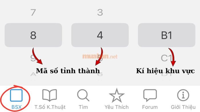 Nhập thông tin cần tra cứu vào ứng dụng