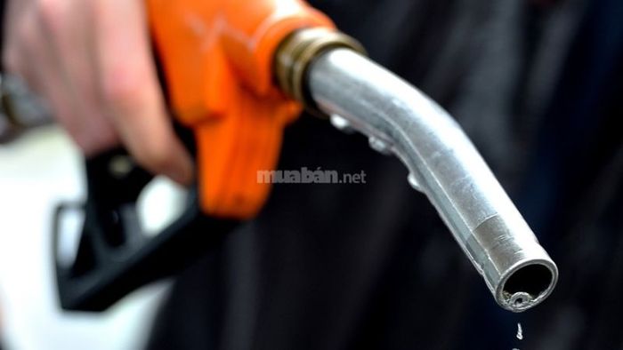 Lợi ích nổi bật khi lựa chọn dầu nhớt phù hợp cho xe số