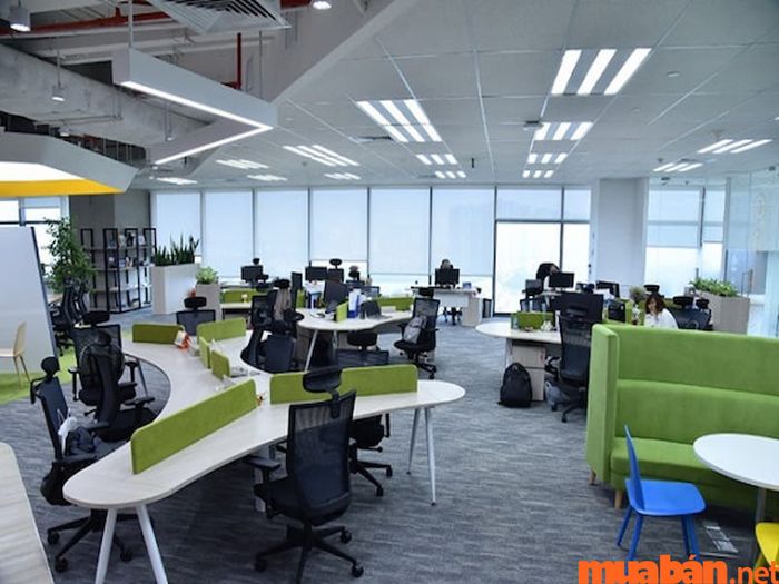mẫu thiết kế nội thất văn phòng