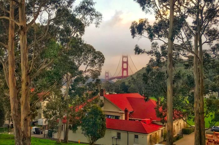 Golden Gate Bridge as viewed from Golden Gate Park