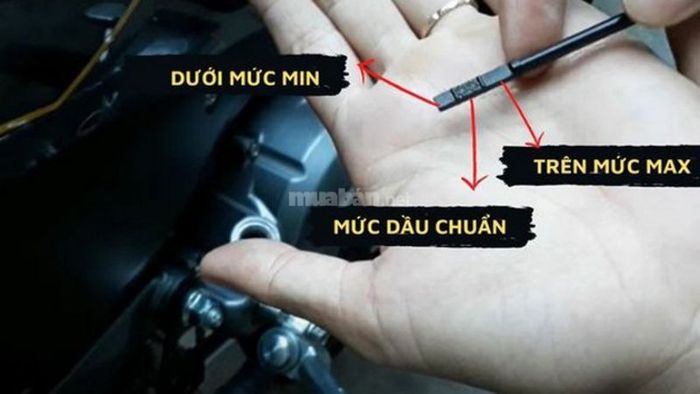 Tại sao việc kiểm tra dầu nhớt xe máy lại cần thiết?