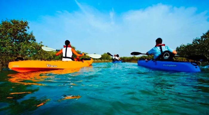 Kayaking around Abu Dhabi offers a great opportunity to spot local wildlife while enjoying the calm waters and scenic views.